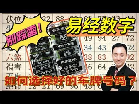 門號吉兇|數字吉兇查詢（81數理吉兇查詢）